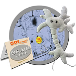 Brain Cell Plush Toy