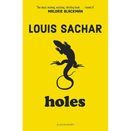 Holes book cover