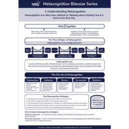 1. Understanding Metacognition