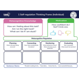 Self-regulation Thinking Frame